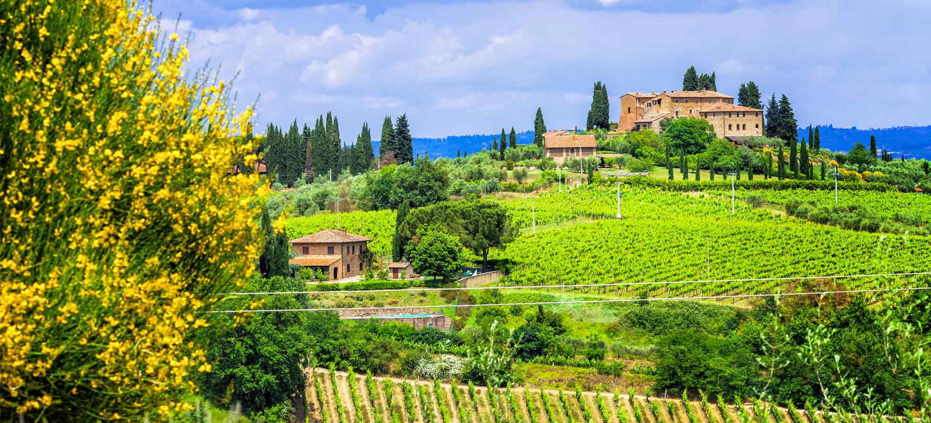La Toscane : paradis des gourmands et des amateurs de bons vins