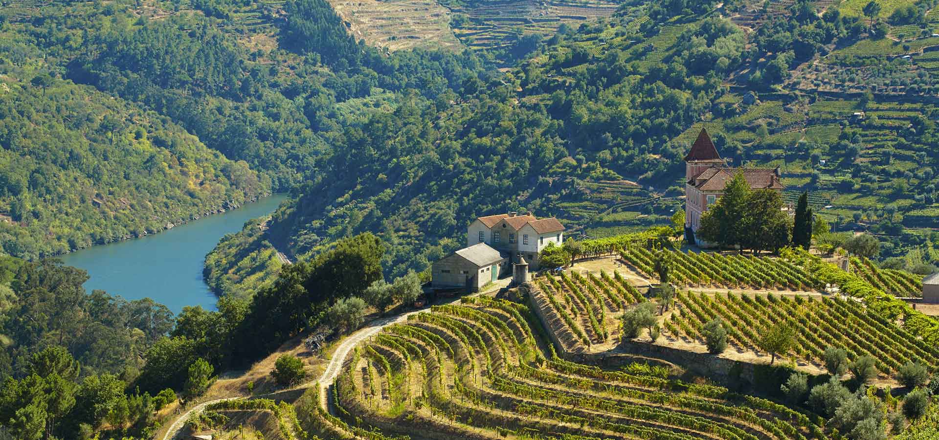 Excursion vinicole dans la vallée du Douro