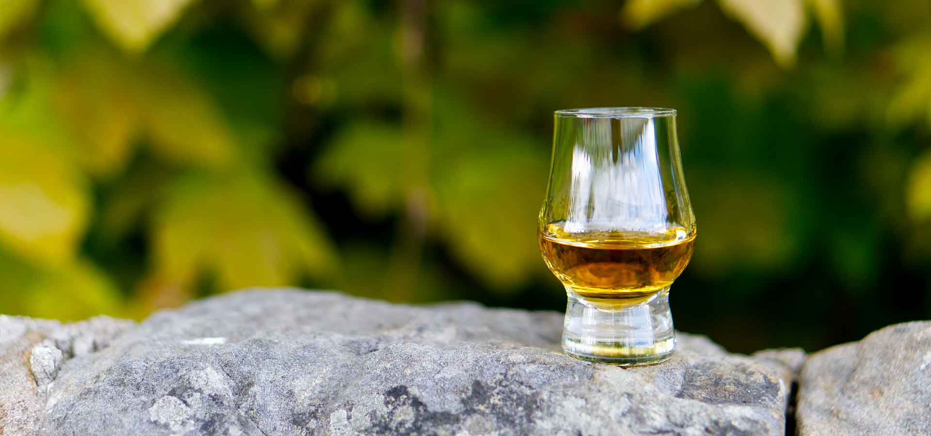 À la découverte du whisky