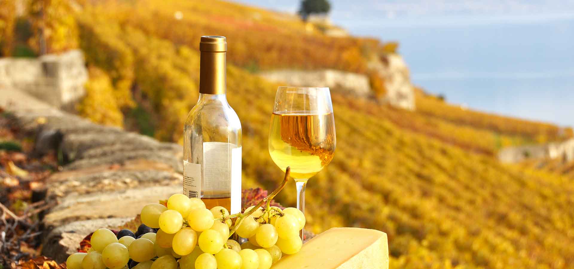 10 destinations qui plairont aux amateurs de vin