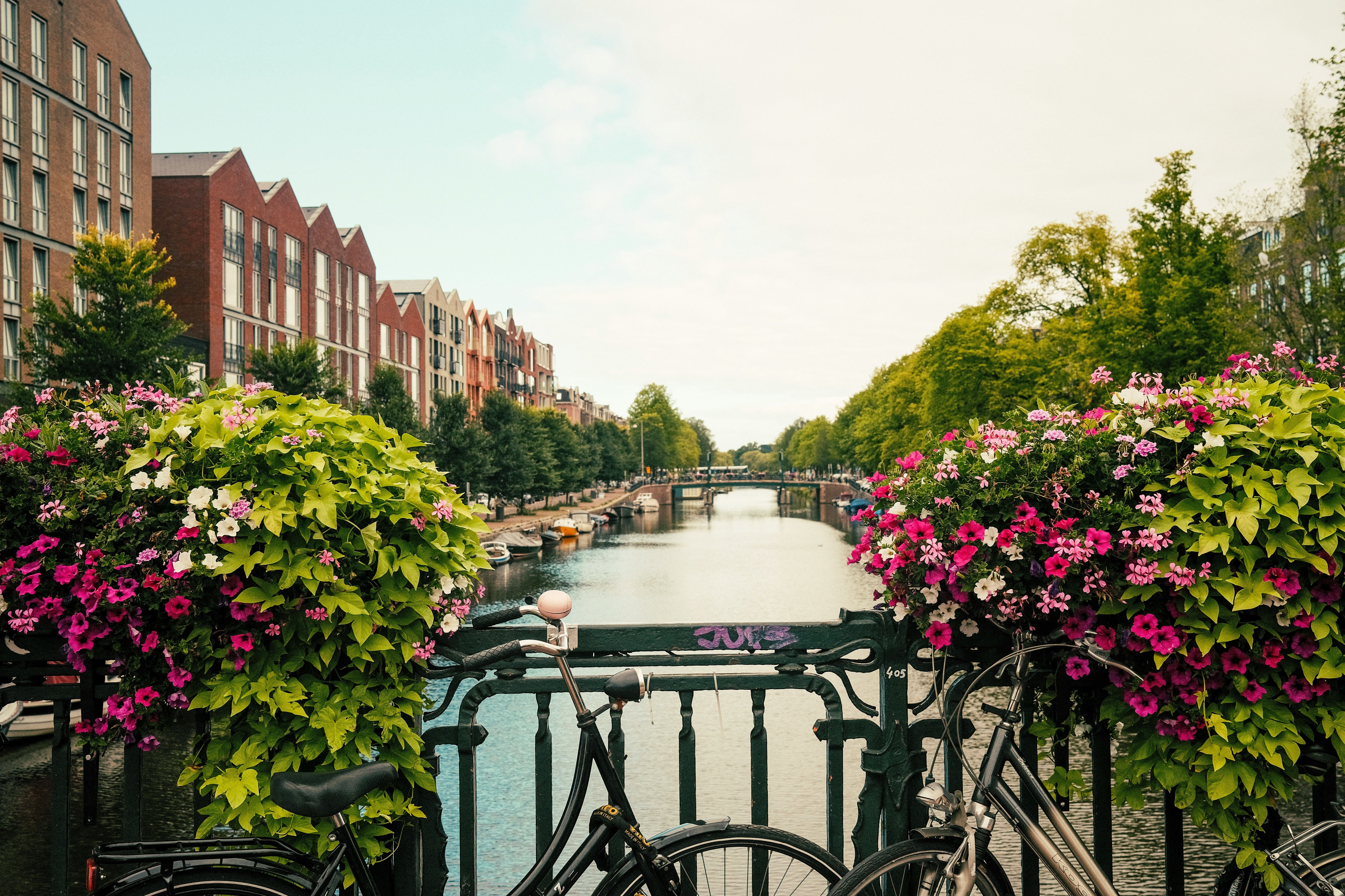 Circuit en péniche et à vélo aux Pays-Bas : 5 raisons de l'essayer